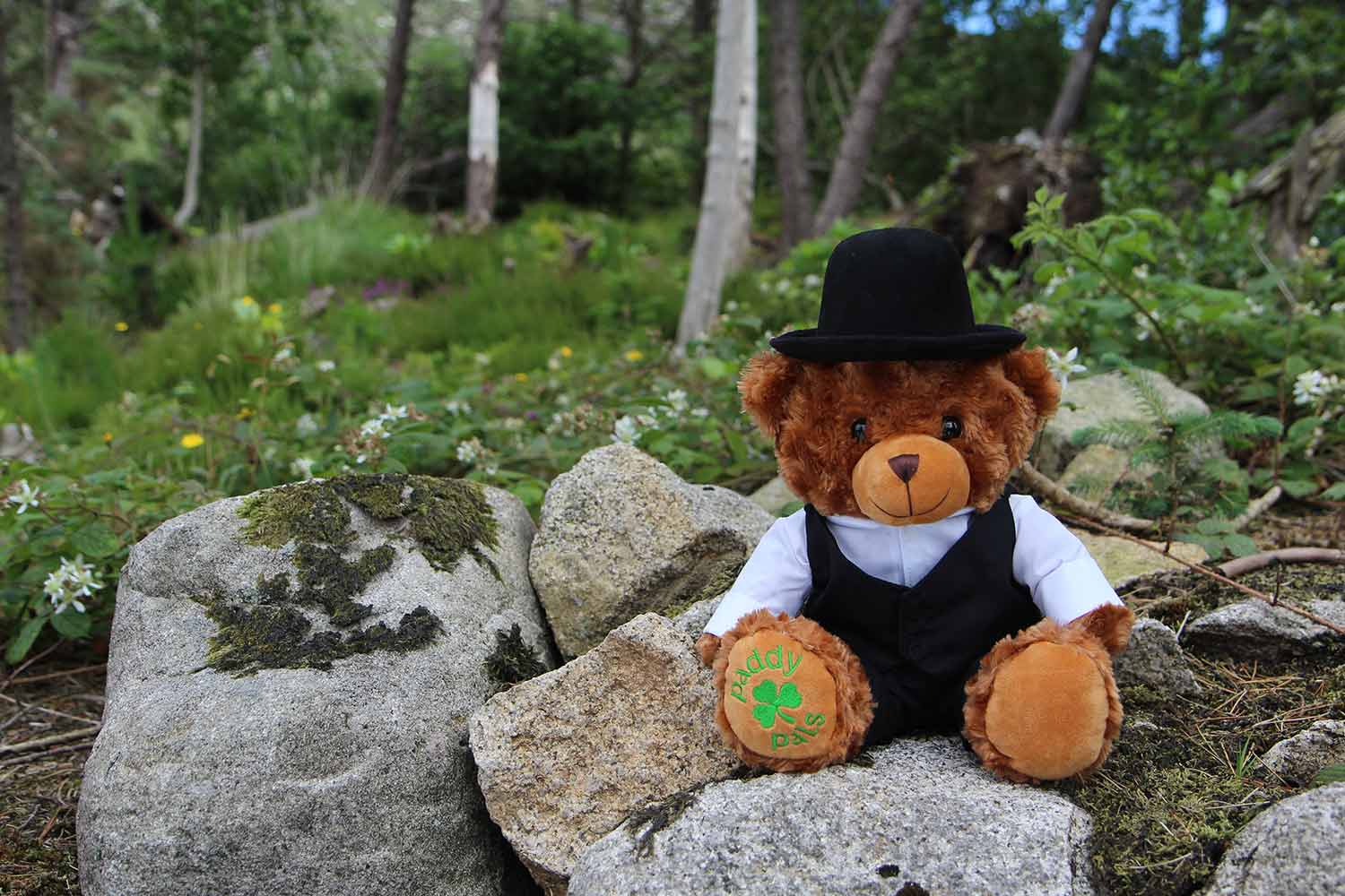 Tollymore Forest: Nature's Magic & Bear Lore