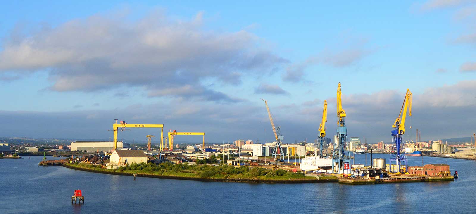 Belfast: Cranes, Bears, and Urban Wonders
